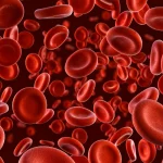 При густой крови помогает одно целебное растение