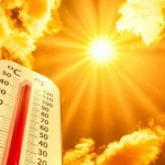Каким будет лето 2026 в Украине: жара, дожди и прогноз по месяцам