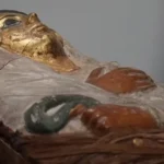 саркофаг Шенет-аа