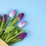 16 апреля: народные традиции, приметы и запреты дня