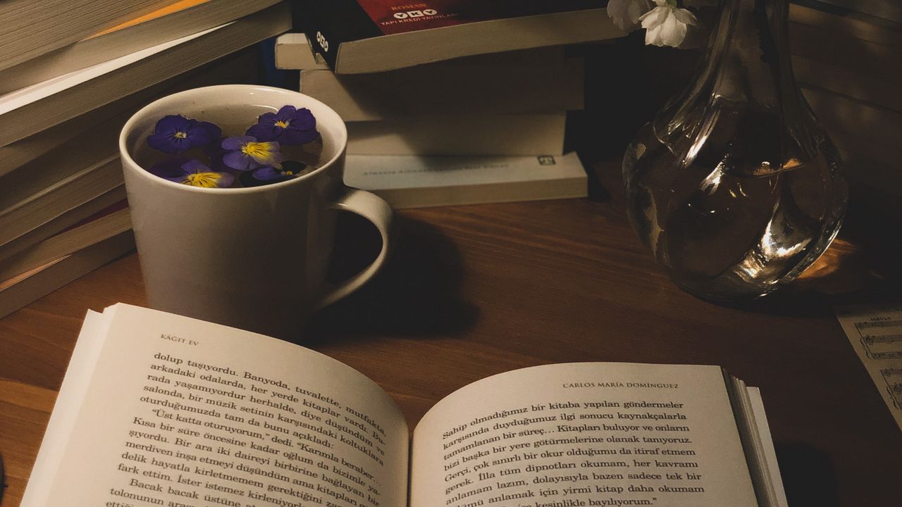 Хороший вечер с книгой