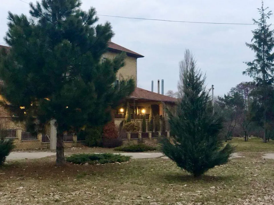 Как ухаживать за хвойными осенью: полив, подкормка и укрытие