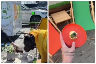 В Киеве открыли кафе с меню для собак: что предлагают питомцам в Doggy Food Truck
