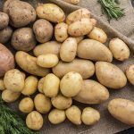 Когда копать молодую картошку: главные признаки готовности урожая