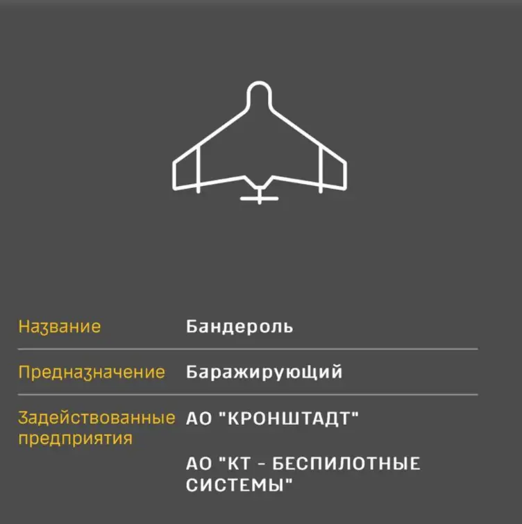 Ночью россияне атаковали Киев «Бандеролями»: что известно об этом опасном оружии
